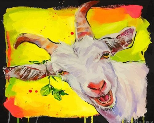White Goat Painting By Numbers.png