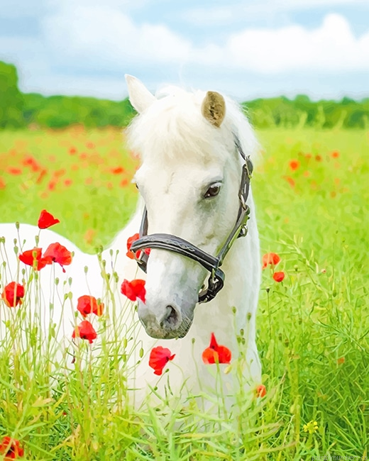 White Horse Flowers Field Painting By Numbers.png