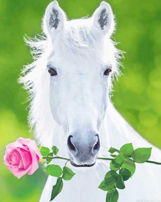 White Horse Holding Pink Rose Animals Painting By Numberss.png