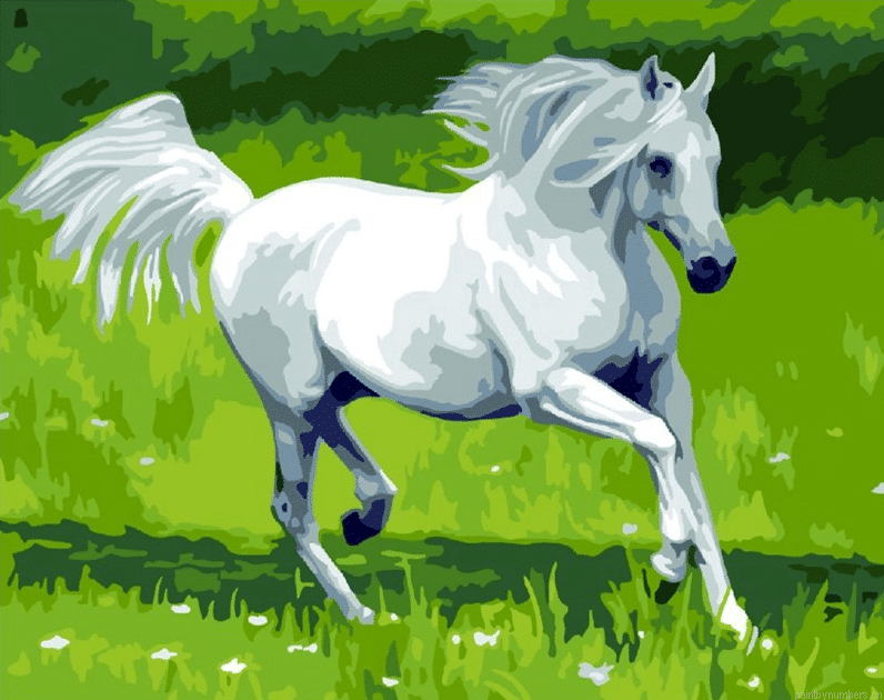 White Horse Painting By Numbers.png