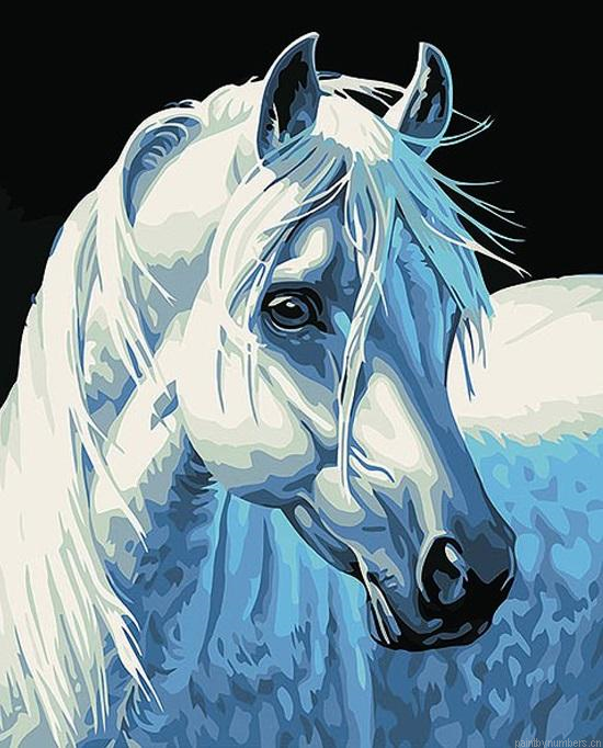 White Horse Portrait Painting By Numbers.png