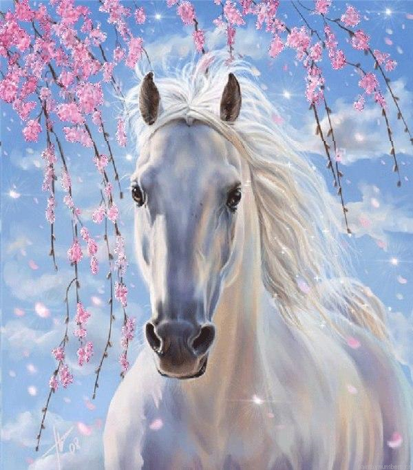 White Horse With Flowers Painting By Numbers.png