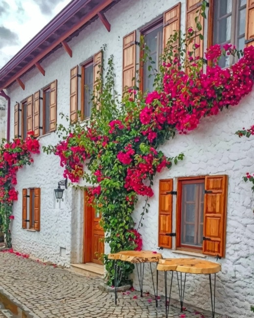 White Houses Pink Flowers Painting By Numberss.png