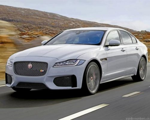 White Jaguar Car Painting By Numbers.png