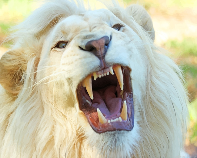 White Lion New Painting By Numbers.png