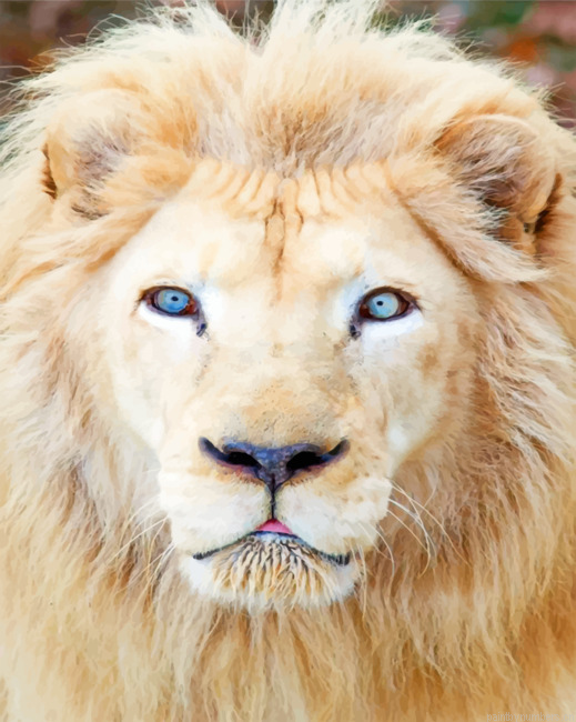 White Lion With Blue Eyes Painting By Numberss.png