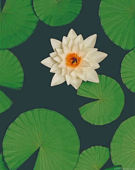 White Lotus Painting By Numberss.png