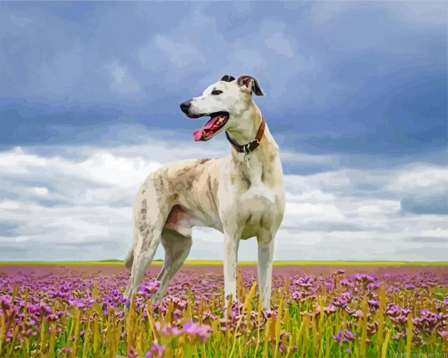 White Lurcher Dog Painting By Numberss.png