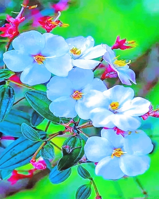 White Orchid Plants Painting By Numberss.png