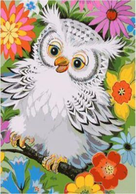 White Owl Painting By Numbers.png