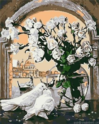 White Pigeon At Window Painting By Numbers.png