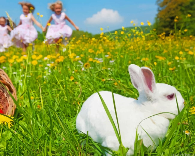 White Rabbit Animals Painting By Numberss.png