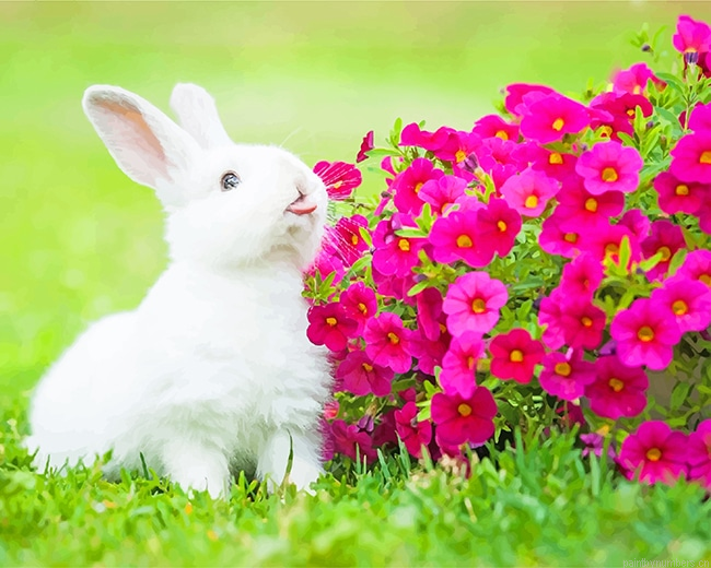 White Rabbit With Flowers Animals Painting By Numbers.png