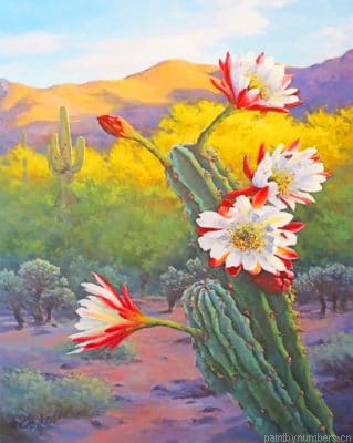 White Red Flowers And Cactus Painting By Numbers.png