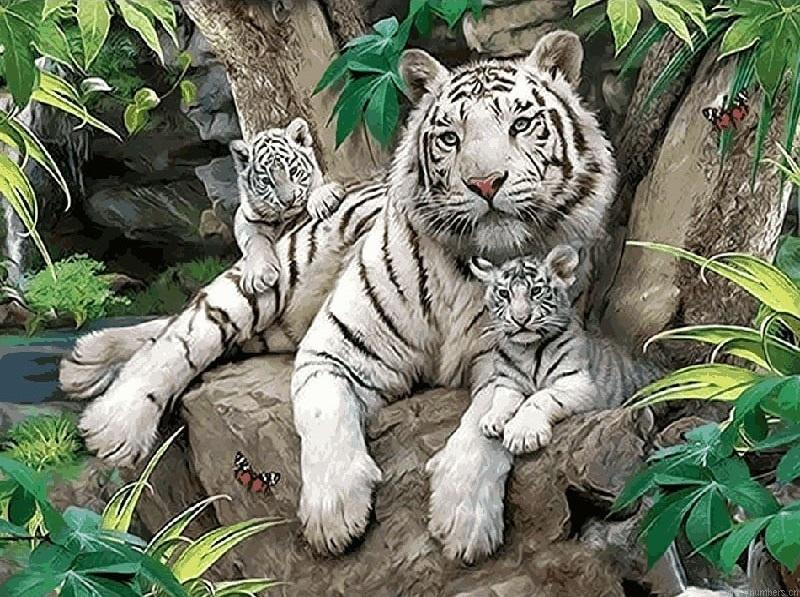 White Tiger Family Painting By Numberss.png