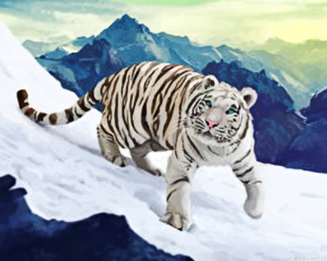 White Tiger In The Snow Painting By Numberss.png