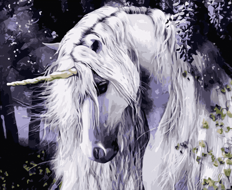 White Unicorn Horse Painting By Numberss.png