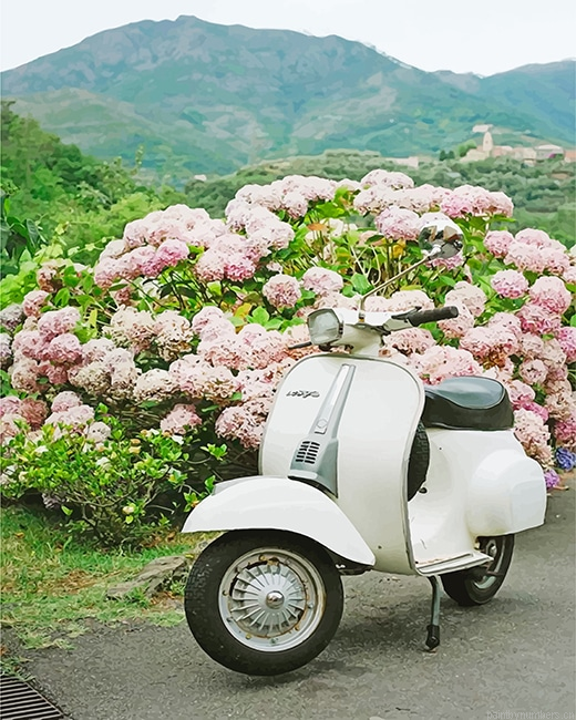 White Vespa Scooter Painting By Numberss.png