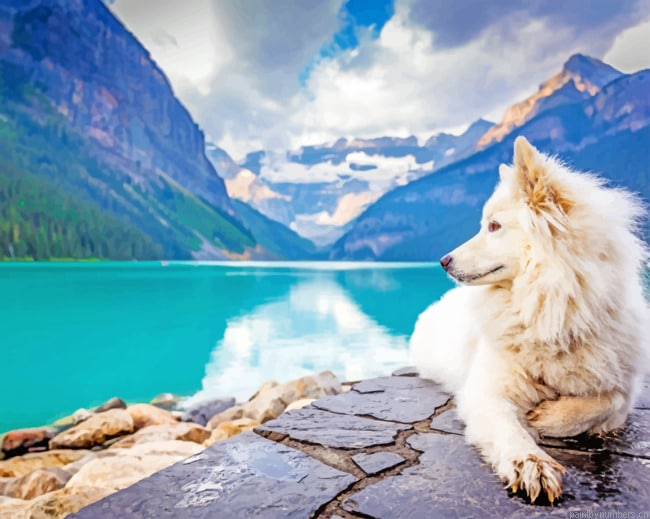 White Wolf Animals Painting By Numberss.png