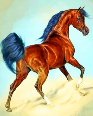 Wild Arabian Horse Painting By Numberss.png