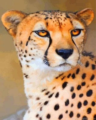 Wild Cheetah Painting By Numbers.png