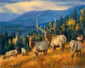 Wild Deer Groupe Painting By Numbers.png