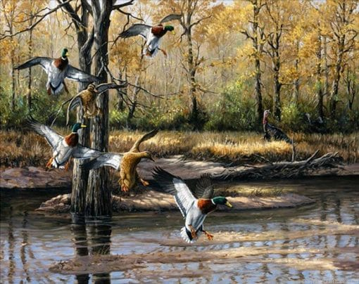 Wild Ducks Birds Painting By Numbers.png