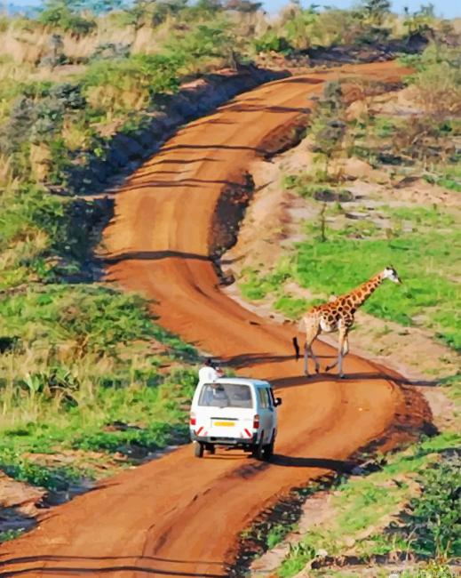 Wild Giraffe Animals Painting By Numberss.png