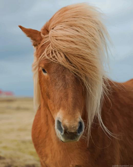 Wild Horse Animals Painting By Numberss.png