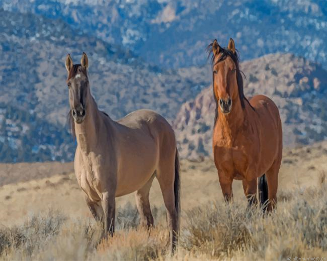 Wild Horses Animals Painting By Numberss.png