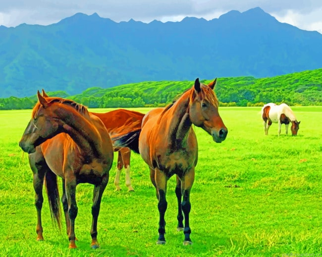 Wild Horses Painting By Numbers.png