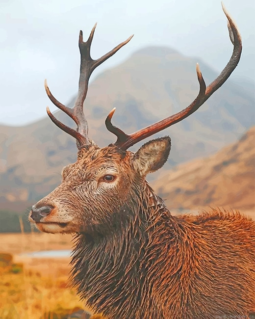 Wild Life Deer Animals Painting By Numberss.png