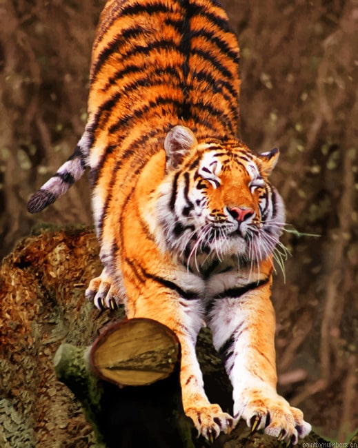 Wild Tiger Animals Painting By Numberss.png