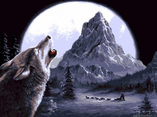 Wild Wolf Painting By Numbers.png