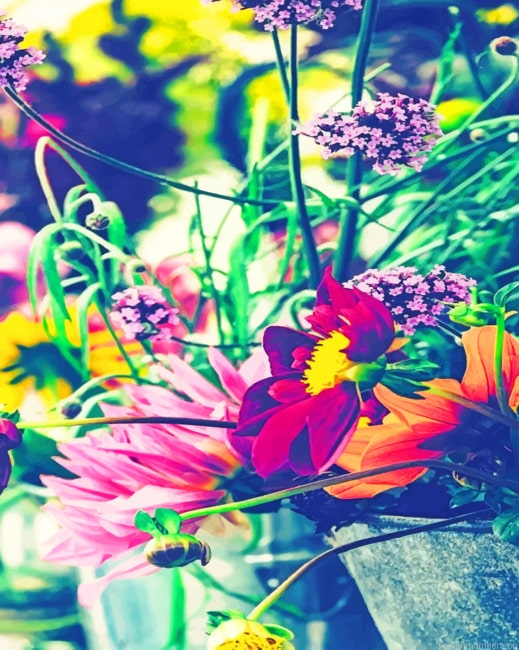 Wildflowers Roses Painting By Numbers.png