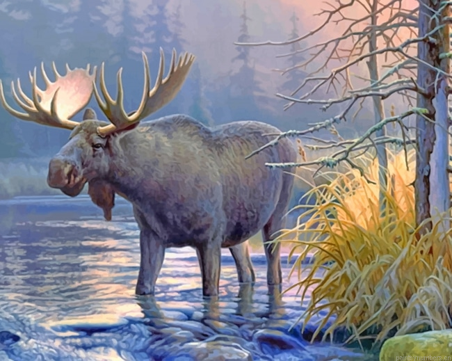 Wildlife Lake Moose Animals Painting By Numberss.png