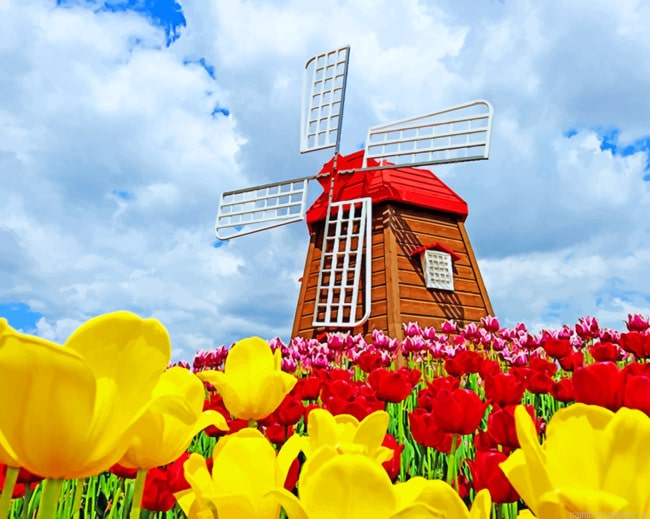 Windmill And Colorful Flowers Painting By Numbers.png
