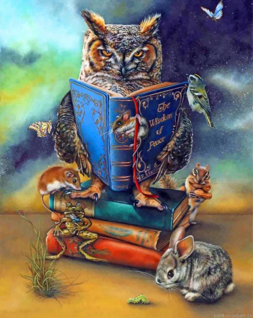 Wise Owl Art Birds Painting By Numberss.png