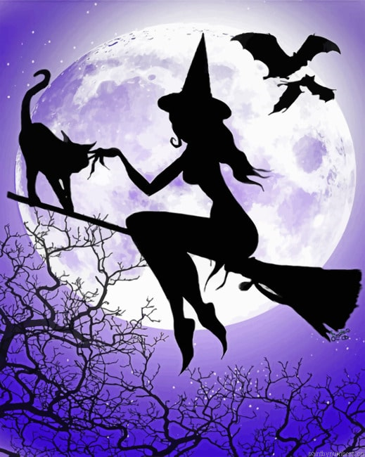Witch And Cat Silhouette Painting By Numberss.png