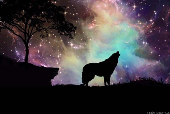 Wolf With Northern Lights Painting By Numbers.png