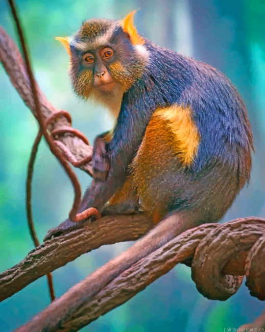 Wolfs Mona Monkey Animal Painting By Numberss.png