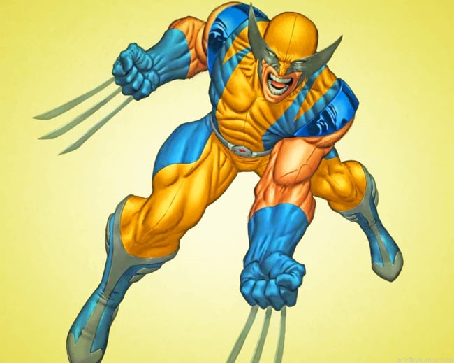 Wolverine Marvel Hero Animations Painting By Numberss.png
