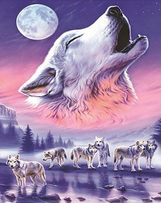 Wolves Howling At Moon Painting By Numbers.png
