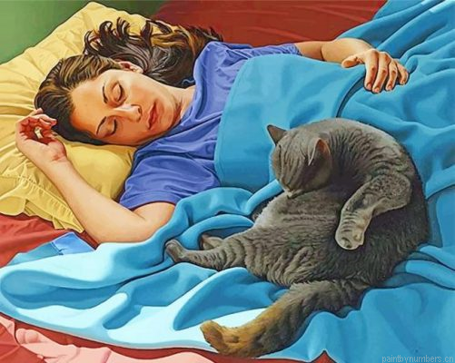 Woman And Cat Sleeping Painting By Numbers.png
