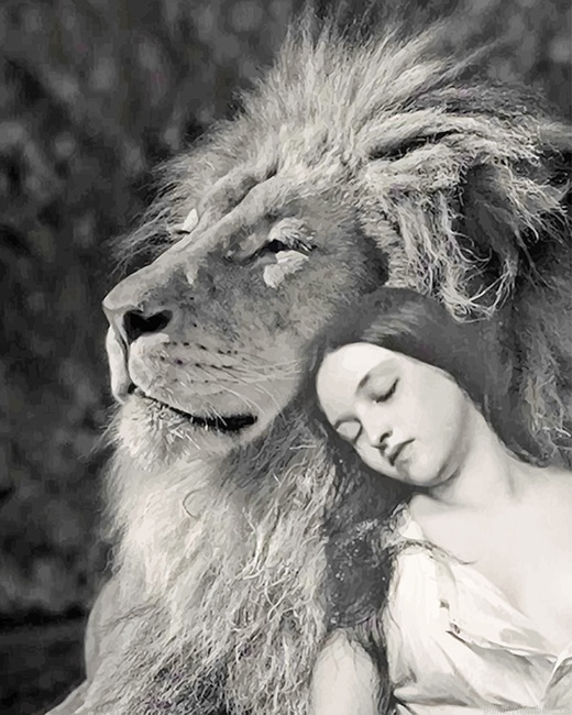 Woman And Lion Painting By Numberss.png
