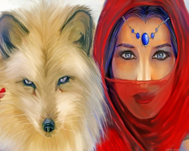 Woman And White Wolf Painting By Numbers.png