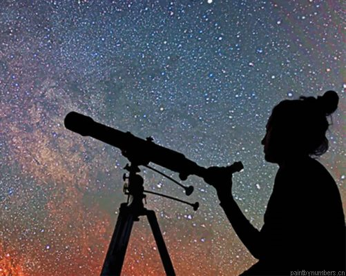 Woman Contemplating The Night Sky Painting By Numbers.png