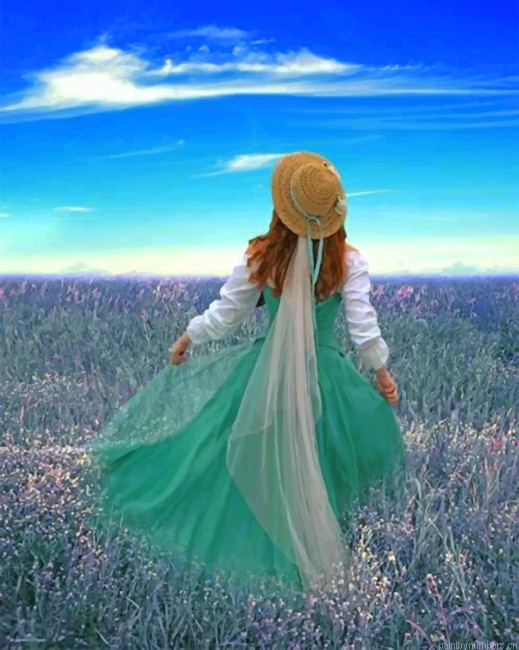 Woman Contemplating The Sky Painting By Numbers.png