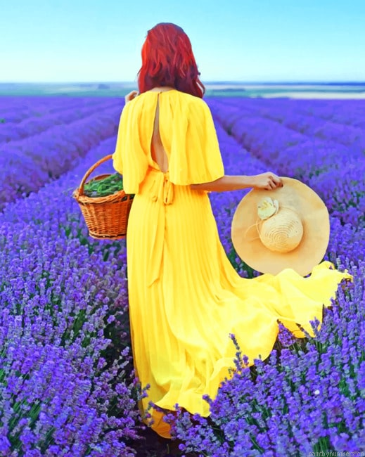 Woman In A Lavender Field Painting By Numbers.png