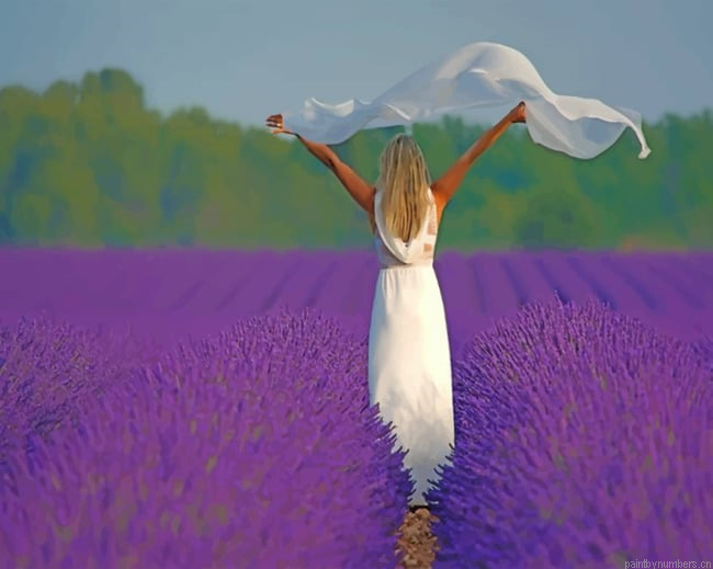 Woman In A Purple Field Painting By Numberss.png